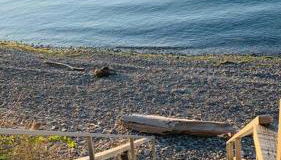 Lakefront Cottage w/ Private Beach- Niagara - Foto 4