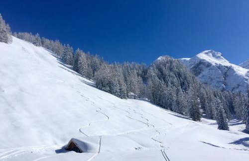Ferienwohnung Edelweiß - Haus Martin - Foto 17