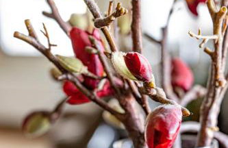 Villa Selini - Foto 65