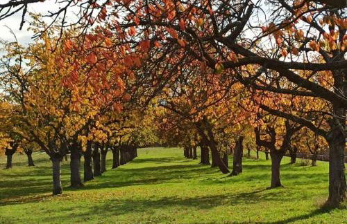 Lovely Apartment in Hesse - Foto 56