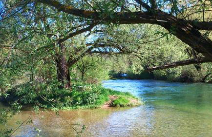 SMARAGD RIVER near Rastoke & Plitvice Lakes - Foto 1