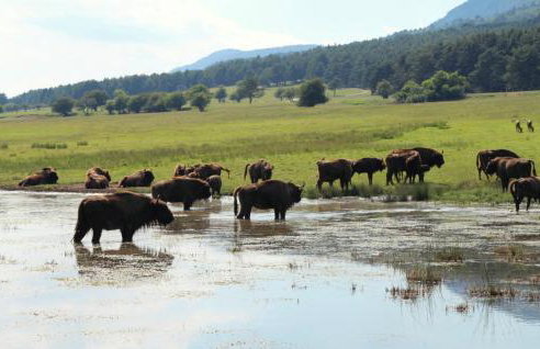 Le Cube Alpin - Cosy Studio - Vue Montagne - Gréolières les Neiges - Foto 32