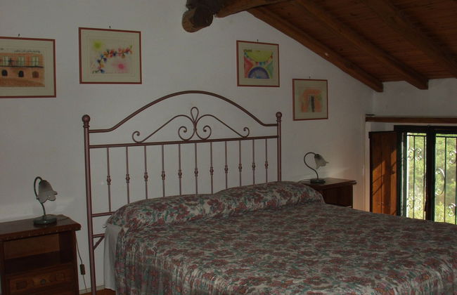 Codavolpe Giardino di Tea - Foto 4