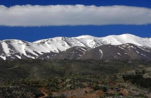 Creta Irini's Rooms3 - Foto 42