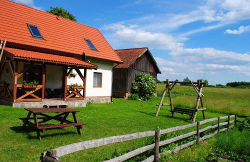 Zielony Gaj - Photo 17