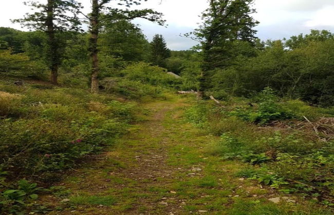 Charming Holiday Home With Private Pool - Foto 39