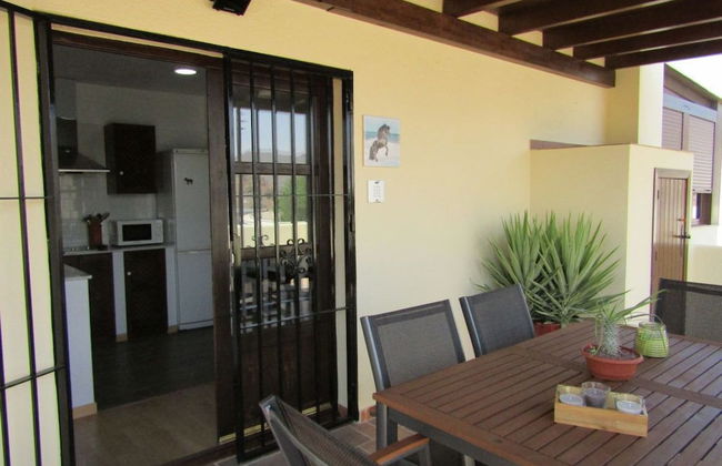 Caballo de Mar Frison - Foto 16