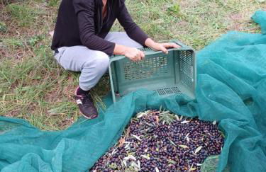 Agriturismo Il Gelso - Foto 21