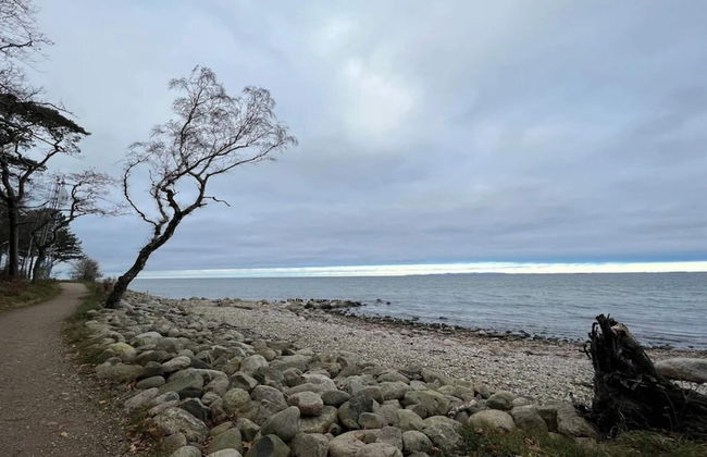 6 Person Holiday Home in Hornbaek - Photo 32