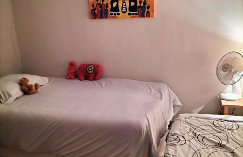 Petit Menot - Foto 12