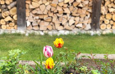 CASA LOFT & LaMansarda - Foto 22