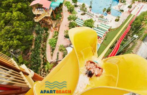 APARTBEACH y SANCHO ABARCA PRIVILEGE - Foto 58