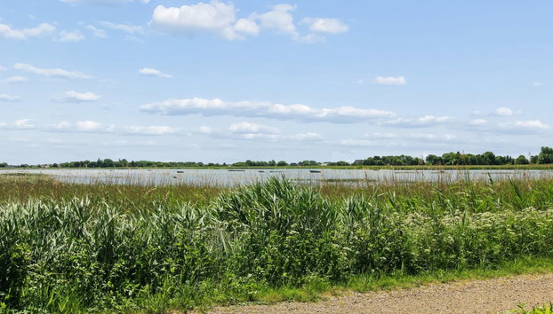 "Arnora" - 48km from the sea - Foto 2, View