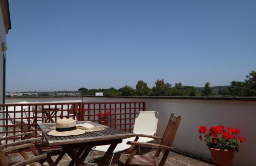 Azienda Agricola Francesca Stajano - Foto 18