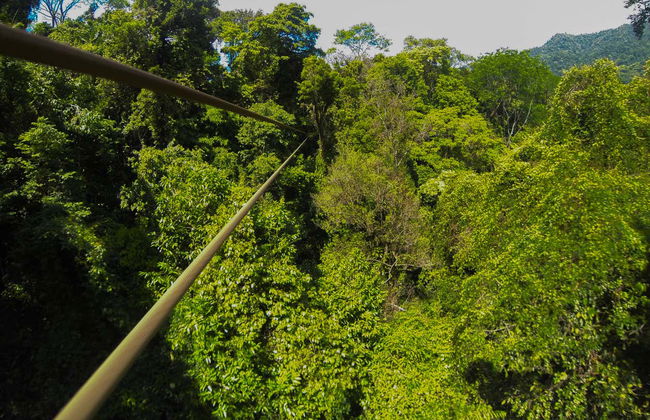 Limón Zip Line Tour - Foto 5