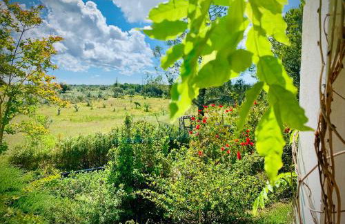 The Oak Tree Farm - Open Layout Concept by Portus Alacer - Ideal for Families - Unplug, Unwind, and Reconnect with Nature - Foto 43