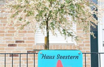 Haus Seestern - Foto 22