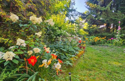 Dom Warmiński - Foto 7