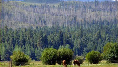 15th Fairway Retreat - Foto 2
