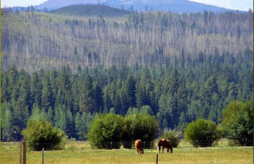 Jacobs Ladder - Black Butte Ranch - Foto 27