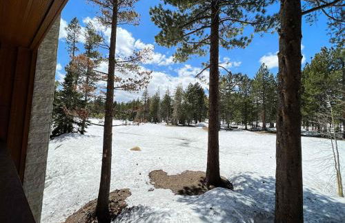 Obsidian Dreaming - On the Sierra Star Golf Course - Foto 19