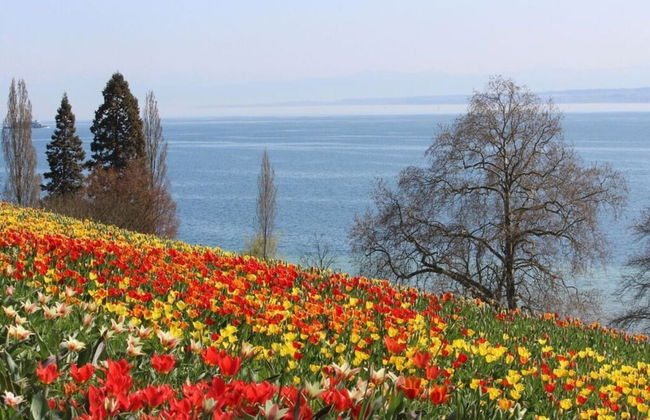 Holiday Apartment 3 in the Holiday Home Sandra - Foto 24