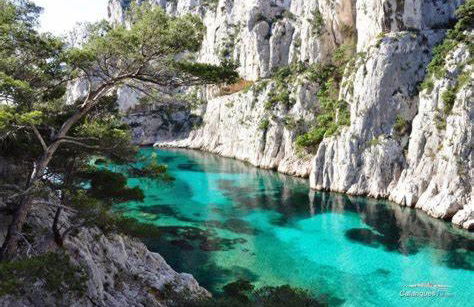 Maison ensoleillée au milieu des pins entre Marseille et Cassis - Foto 23