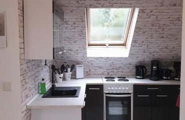 Vogelnest Riesa - Foto 6