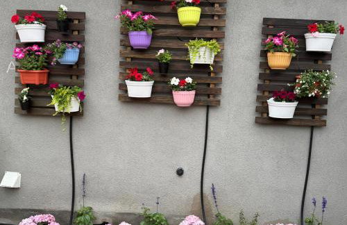 Cute Studio with AC and Backyard - Foto 43