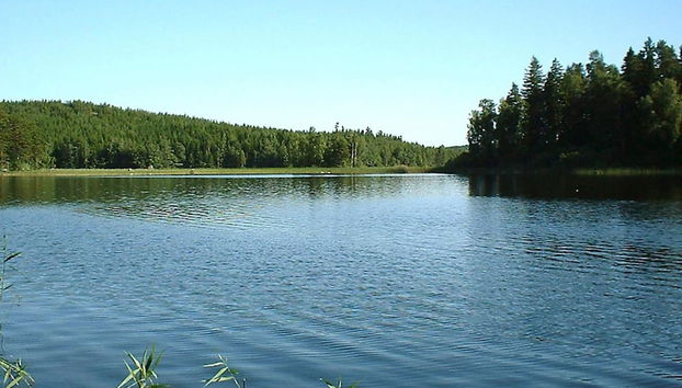 Holiday Home in Åtvidaberg - Foto 2