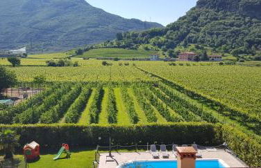 Agritur Girasole - Foto 27