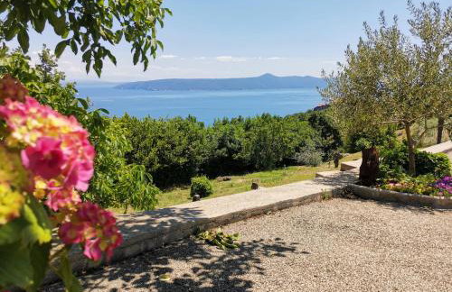 Apartman MARIJETA - Foto 53