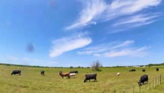 120 Acre Estate WaterTubing, Livestock,Event Space - Foto 5