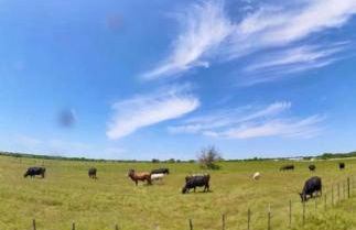 120 Acre Estate WaterTubing, Livestock,Event Space - Foto 5