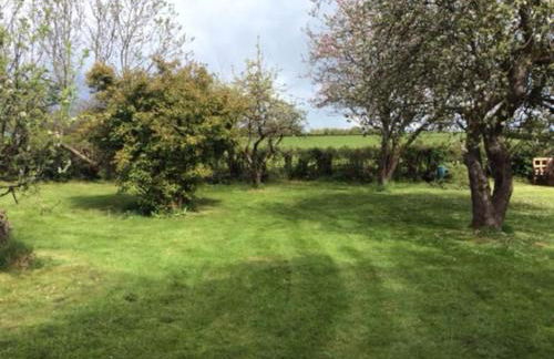 Country Studio Apartment - Foto 13