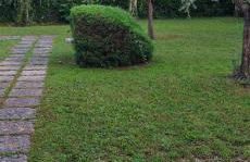 Dijana's Haus - Foto 16