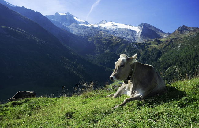 Vintage Apartment in Fugen Near Ski Area - Foto 70