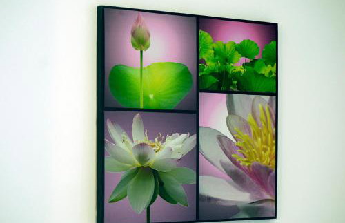 Stela Apartments - Foto 16