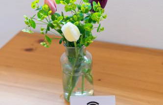 Boardinghouse Steinen - Foto 37