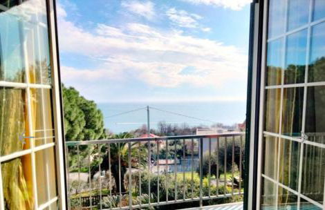 Red Squirrels - Foto 1