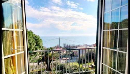 Red Squirrels - Foto 1