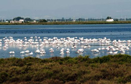 Apartamento Gavines - Photo 22