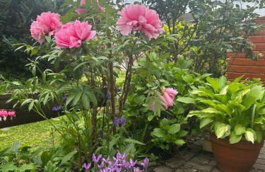 Ferienwohnung Katharina im Weinort an der Mosel - Foto 14