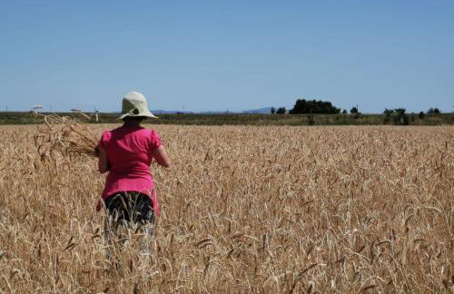Agriturismo Podere Padolecchie - Azienda Agricola Passerini - Foto 22