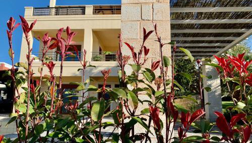 Aggelos and Thisbe Chania Suburbs Sea View Guest House - Foto 3