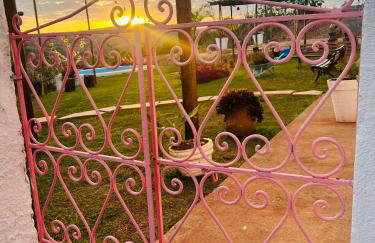 Pousada Dona Terezinha - Foto 44