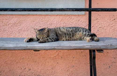 Borgo Capobianco - Foto 36