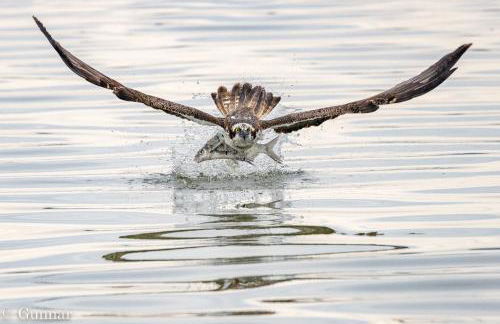 Ferienvilla-mv - Foto 34