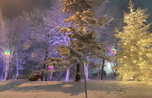 On Top Of Everything at Beech - Foto 53