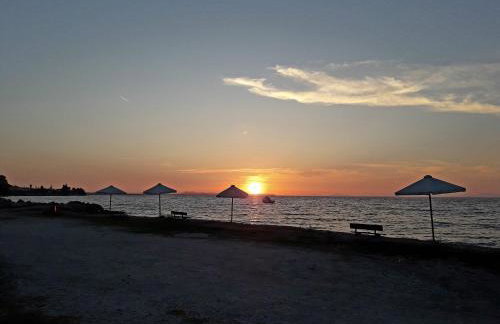 Hotel Dimitra - Foto 62